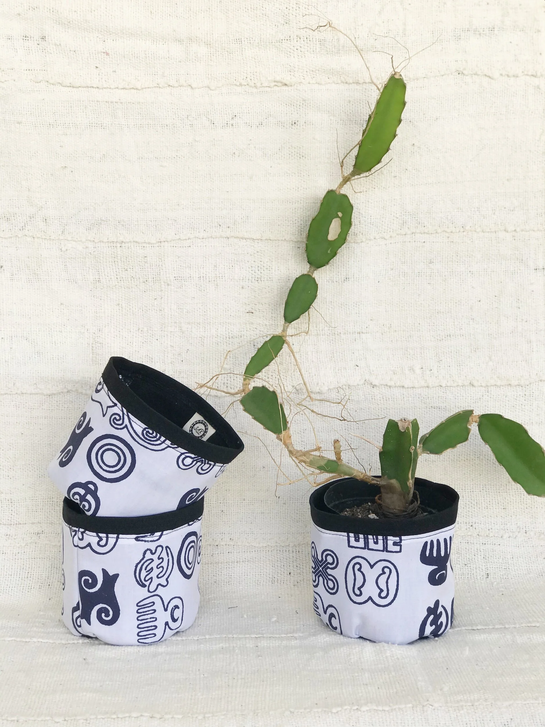 E4E428F8-2447-4577-A8E1-312FDDDC35B4