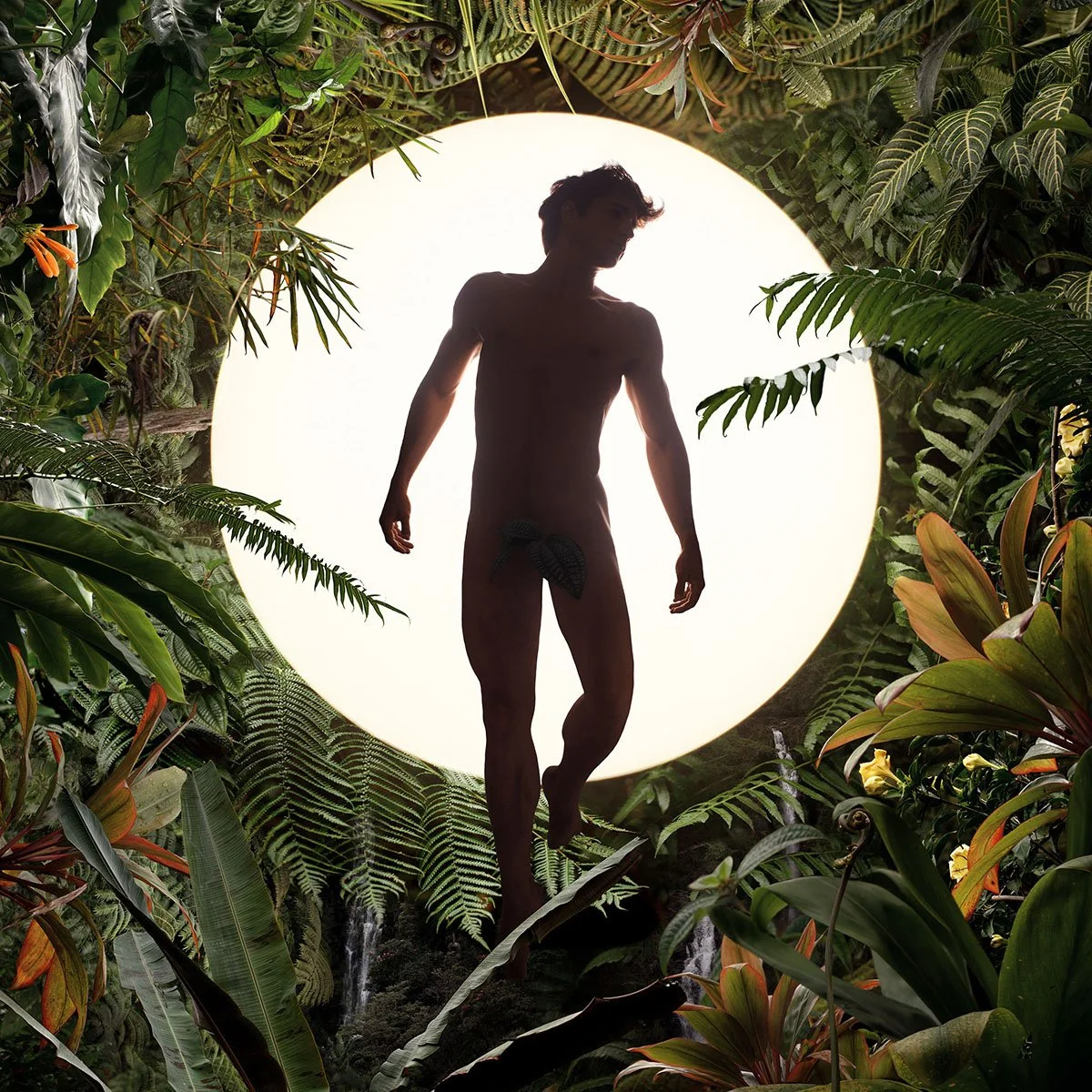 Beautés, Ombres, et Effets