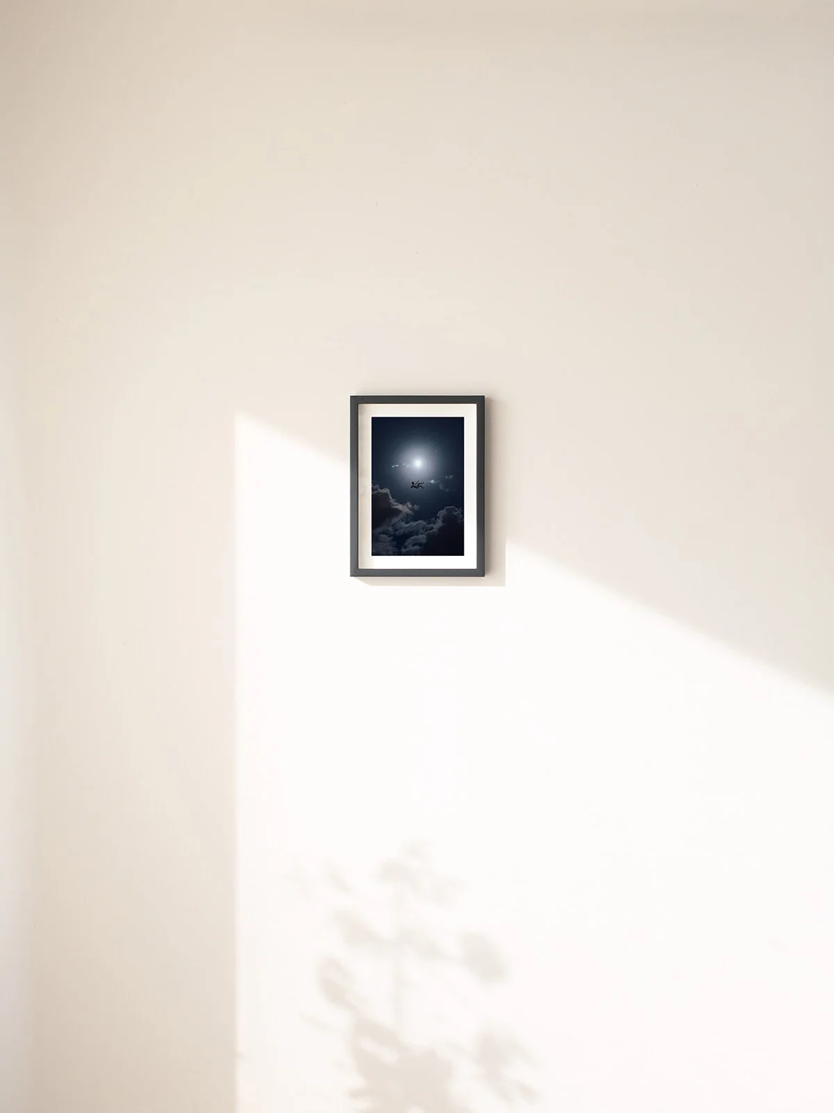 2026 Product Template - Vertical Starter smaller.jpg