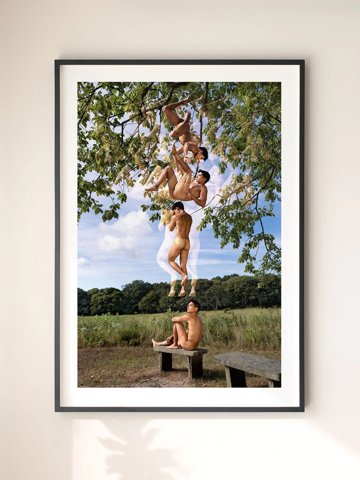 2026 Product Template - Vertical Collector smaller.jpg