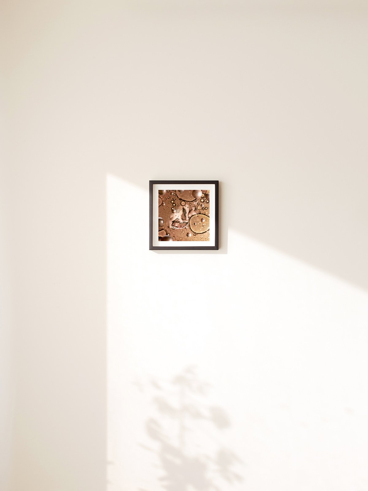 2026 Product Template - Square Starter smaller.jpg