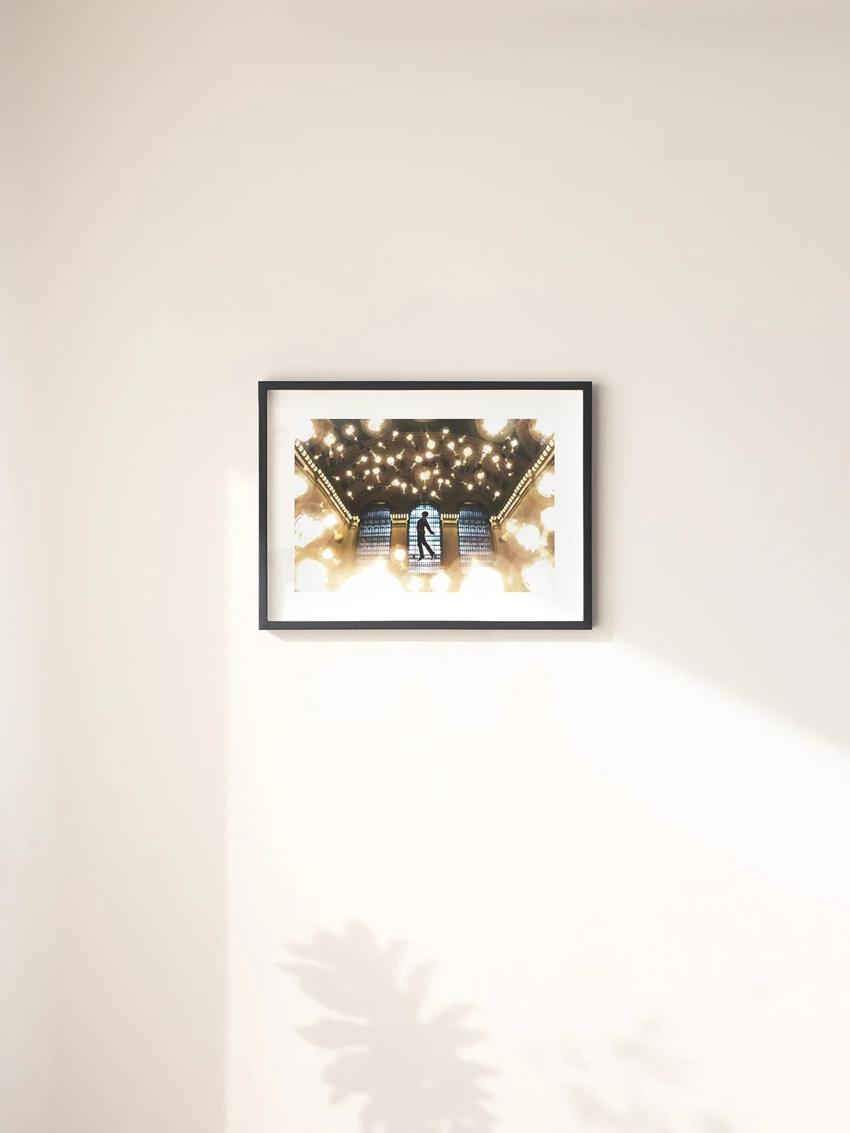 2026 Product Template - Horizontal Standard smaller.jpg