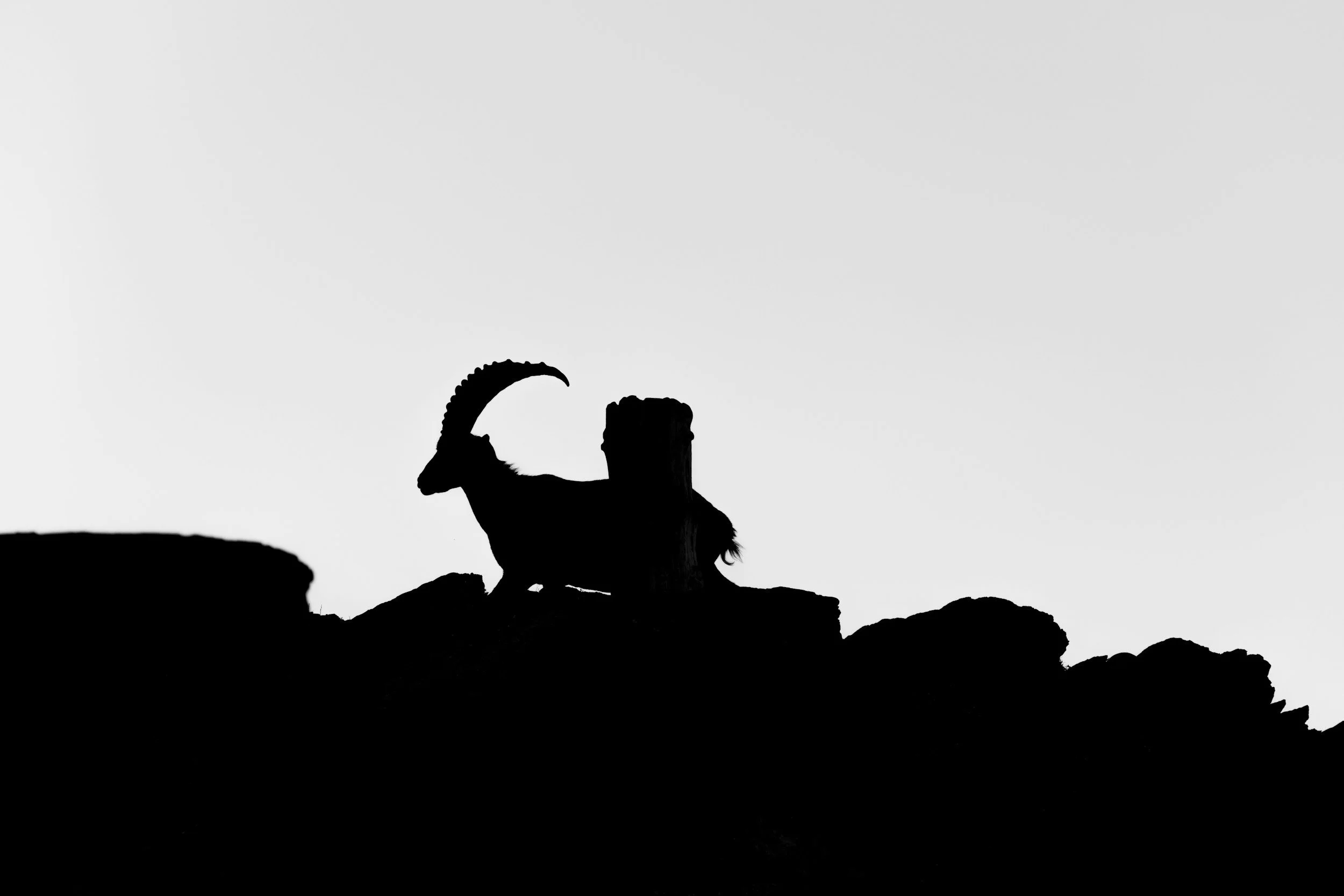Manifesting Practical Growth: First Quarter Moon in Capricorn