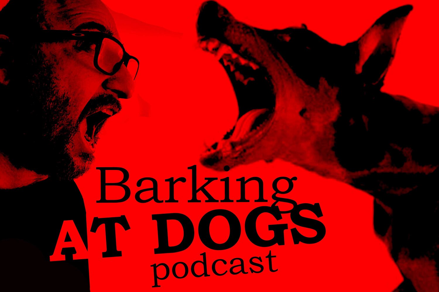 Barking at Dogs