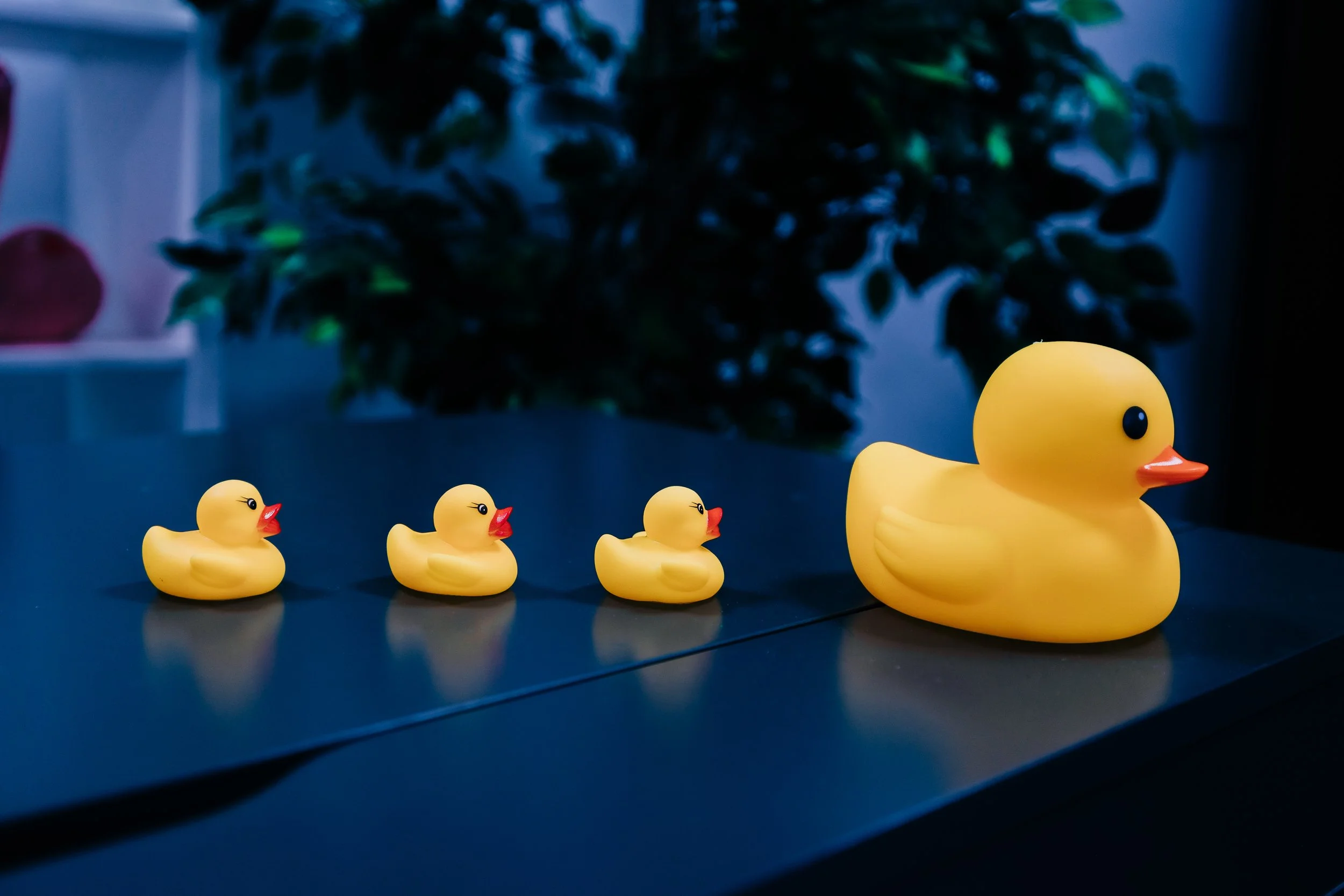 121 ToK Assemblies May 2025.jpg