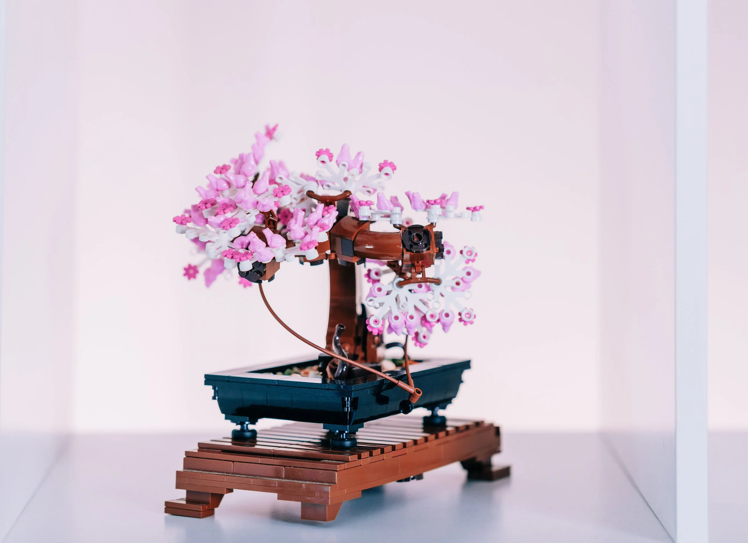 043 ToK Assemblies May 2025.jpg