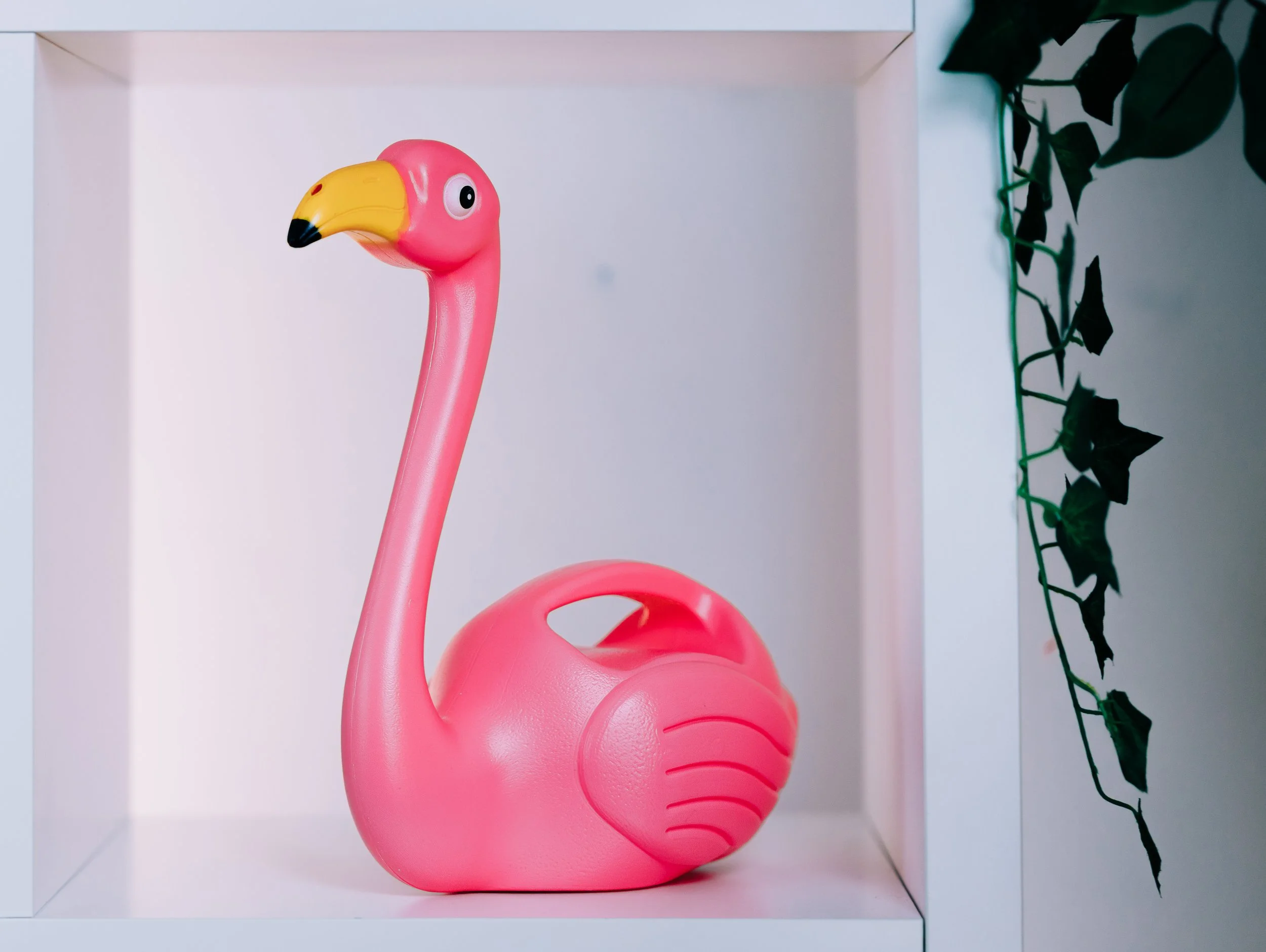 046 ToK Assemblies May 2025.jpg