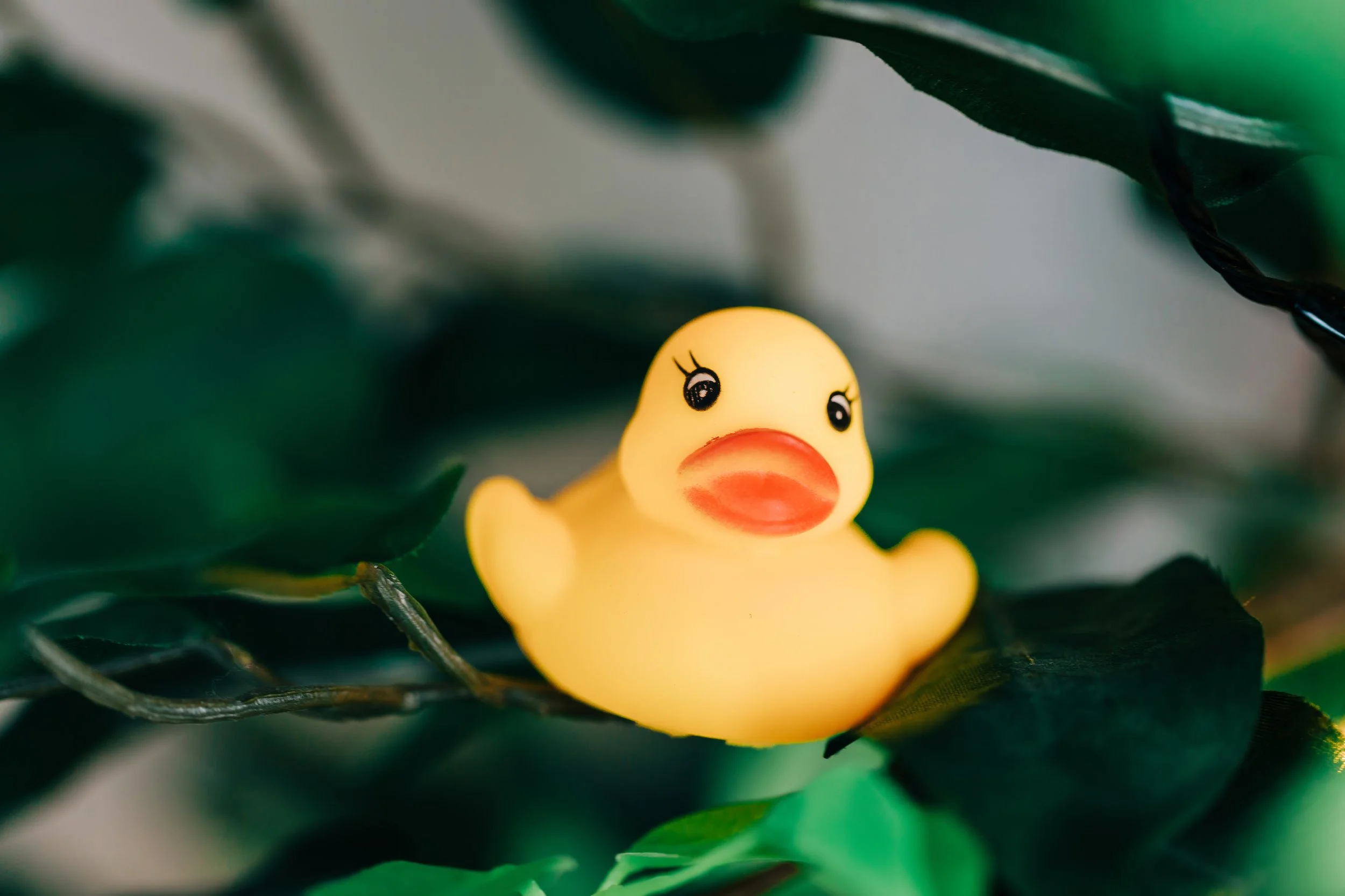 048 ToK Assemblies May 2025.jpg