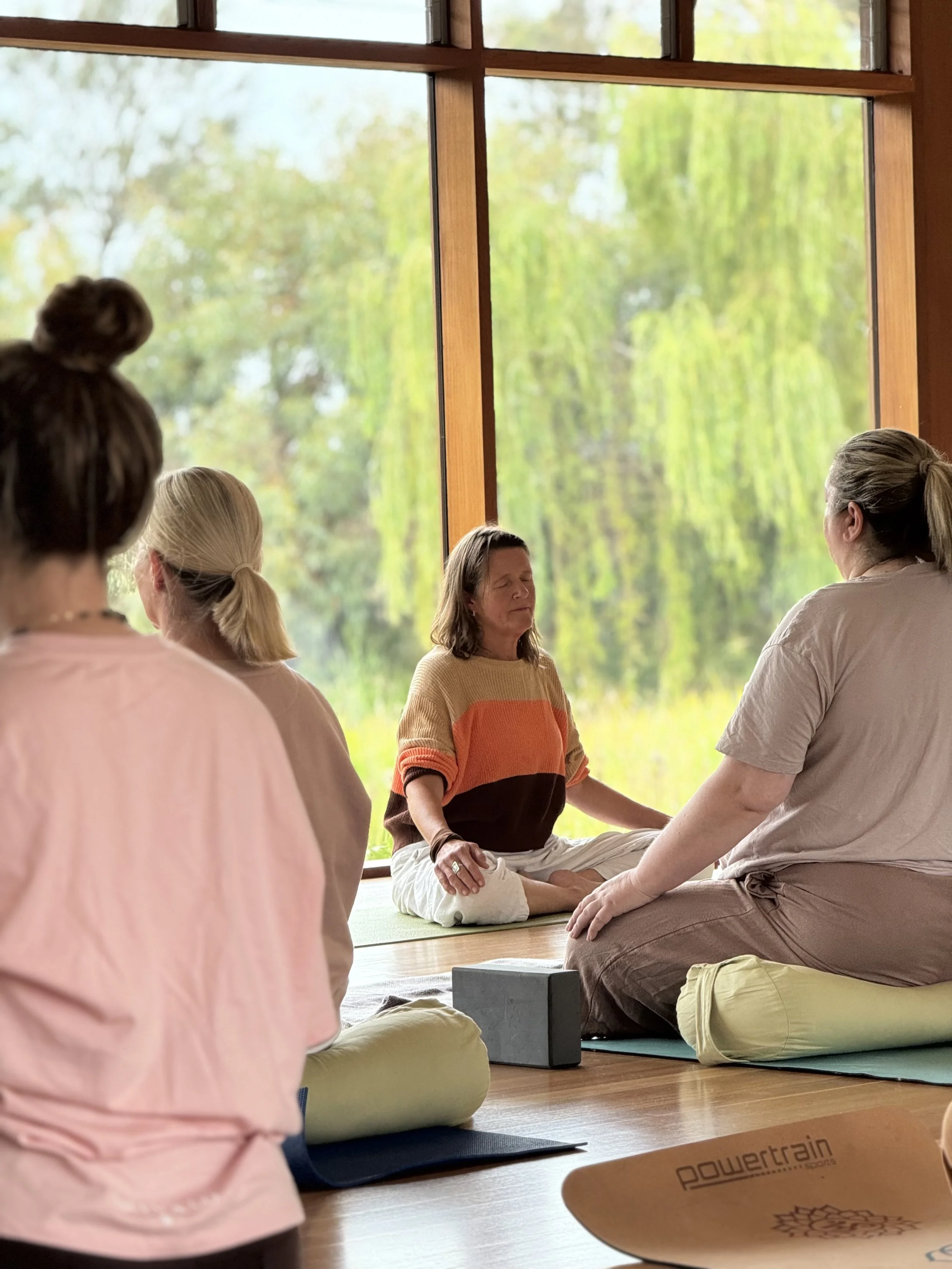 Anna Rimmer of Yoga Farm 3217 equine assisted energy healing session geelong