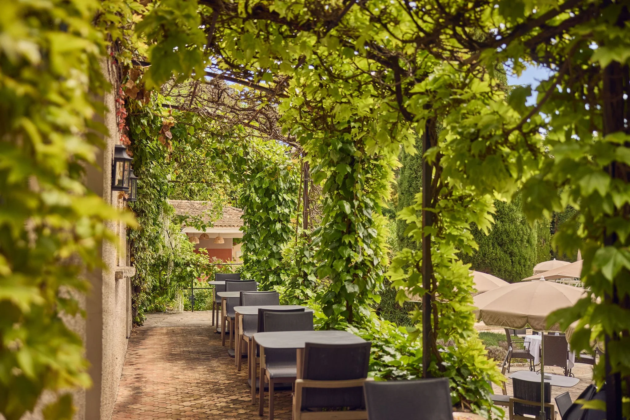 Bastide-de-Mougens-Terrace-01.jpg