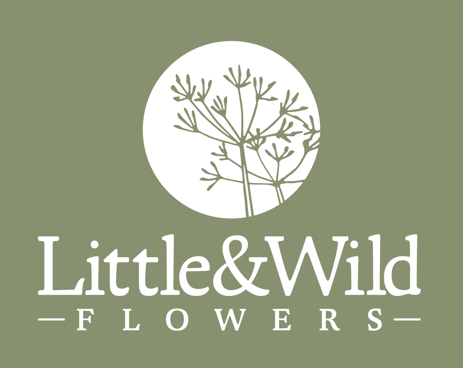 Little &amp; Wildflowers