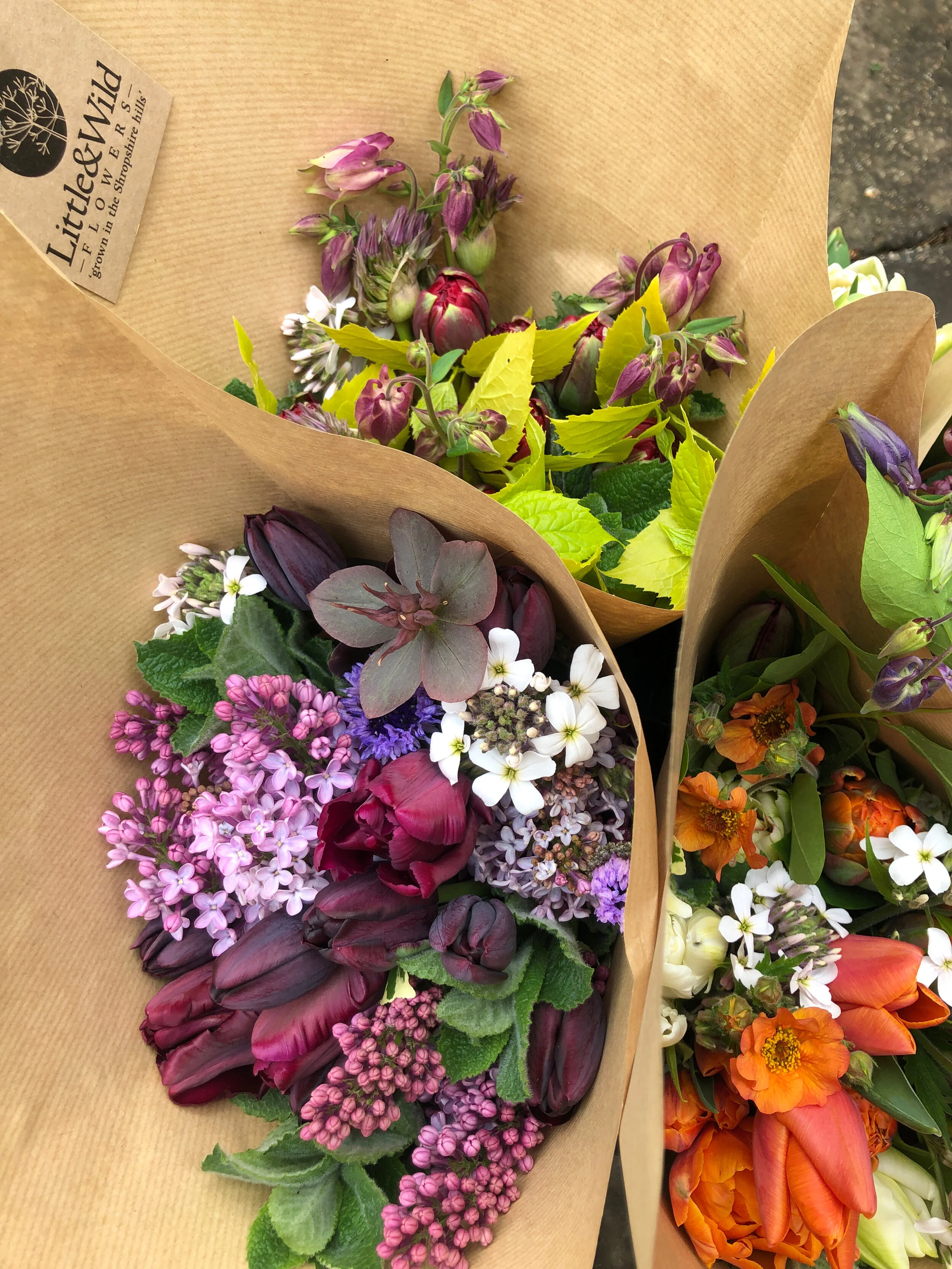 Seasonal Bunch