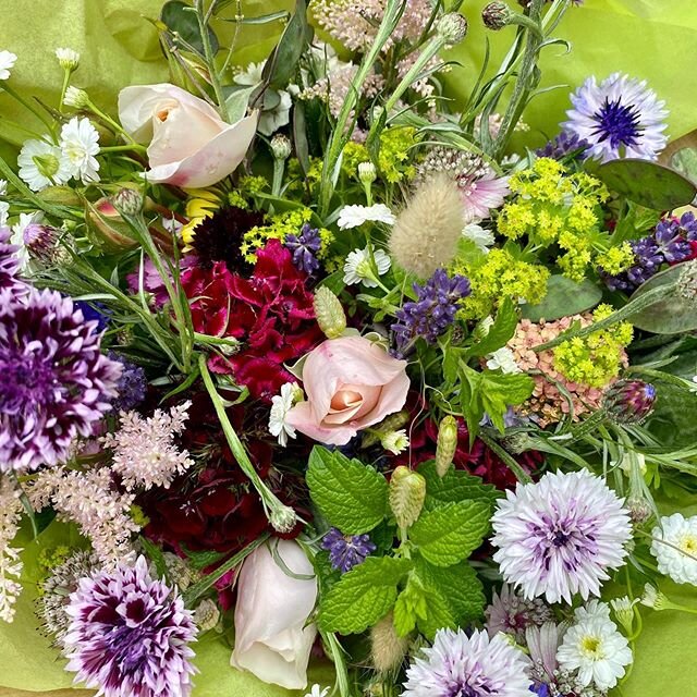 Flowers grown in the Shropshire Hills — Little & Wildflowers