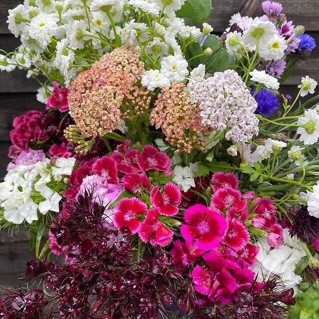 Flowers picked and resting ready to be made up into today&rsquo;s garden bouquets.  The cutting garden is really beginning to hit its stride now, it&rsquo;s so exciting to see what&rsquo;s coming up #littleandwildflowers #shropshiregrown #shropshireg