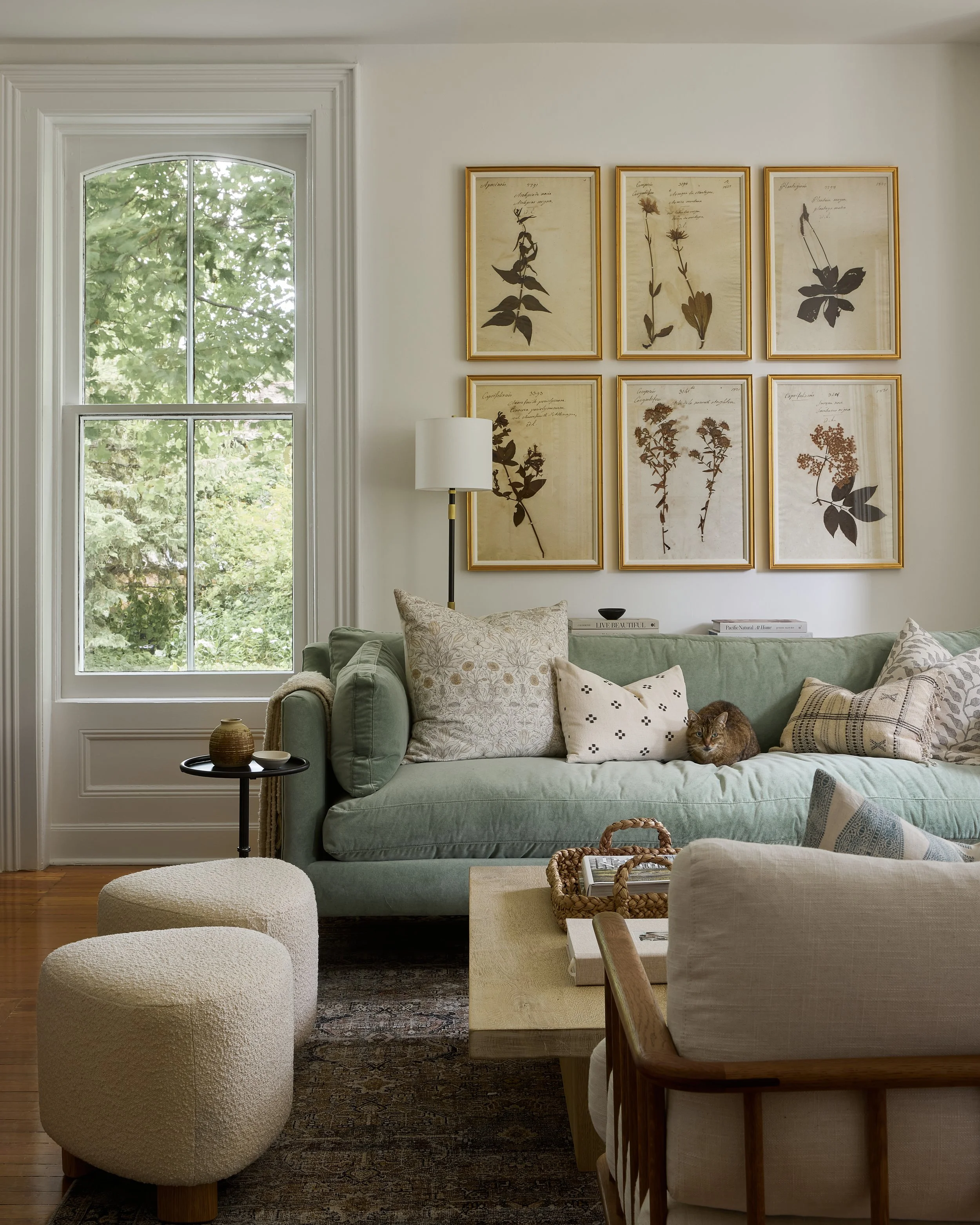 Interior Design Portfolio — Tiffany Leigh Design