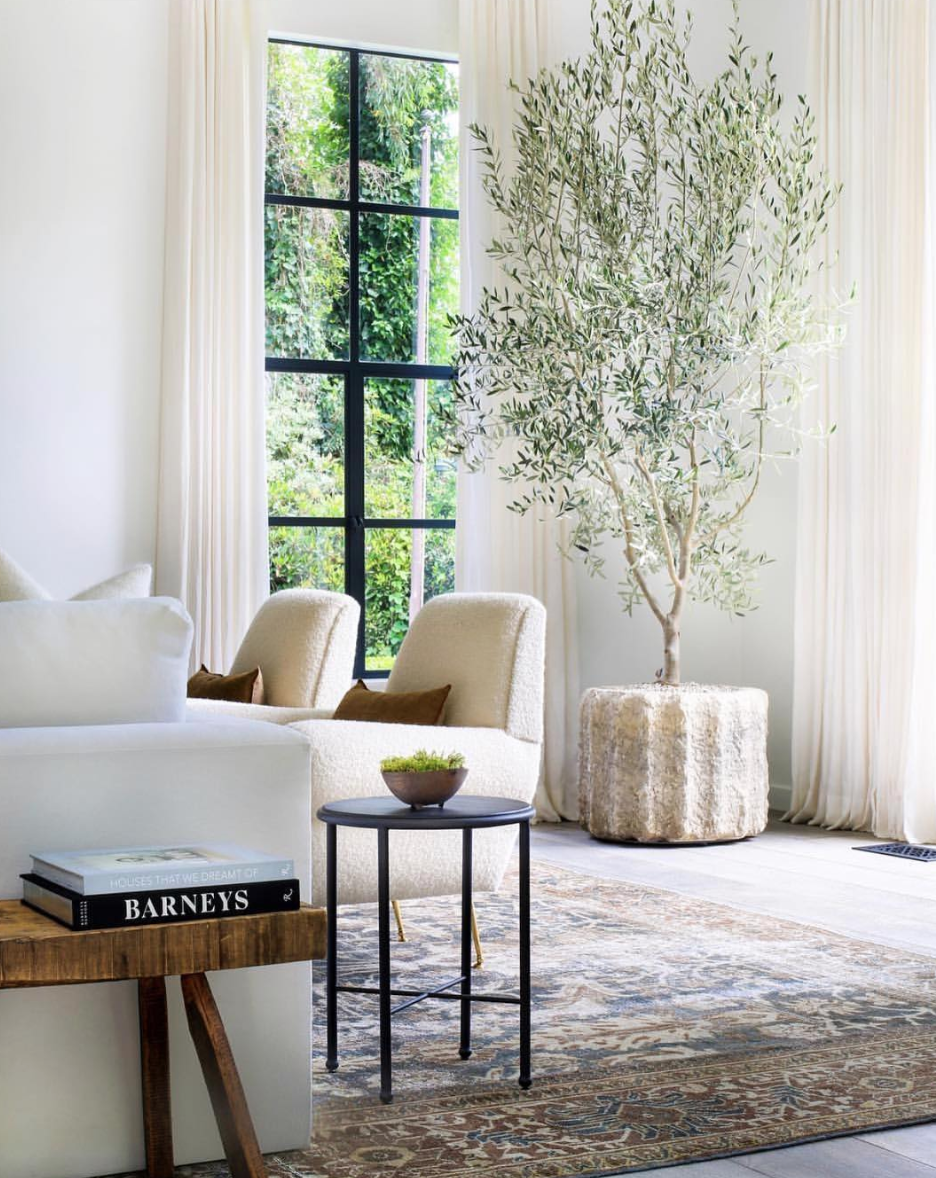 Bringing the OutdoorS In My Favourite Indoor Trees — Tiffany Leigh Design