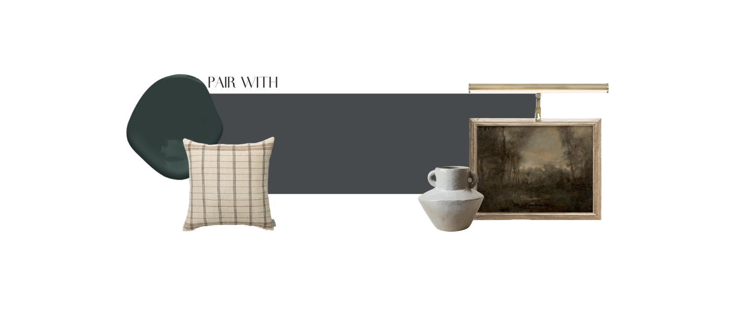 Our Favourite Dark Paint Colours featuring A New Project — Tiffany