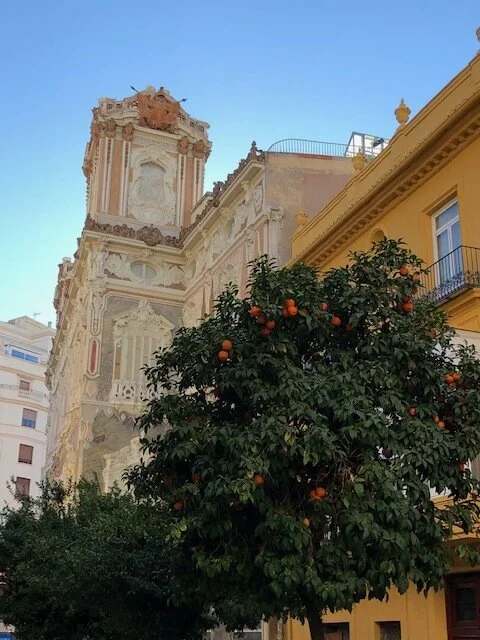 Valence en hiver