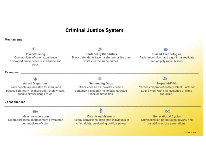 Systems in Synergy crime.jpg