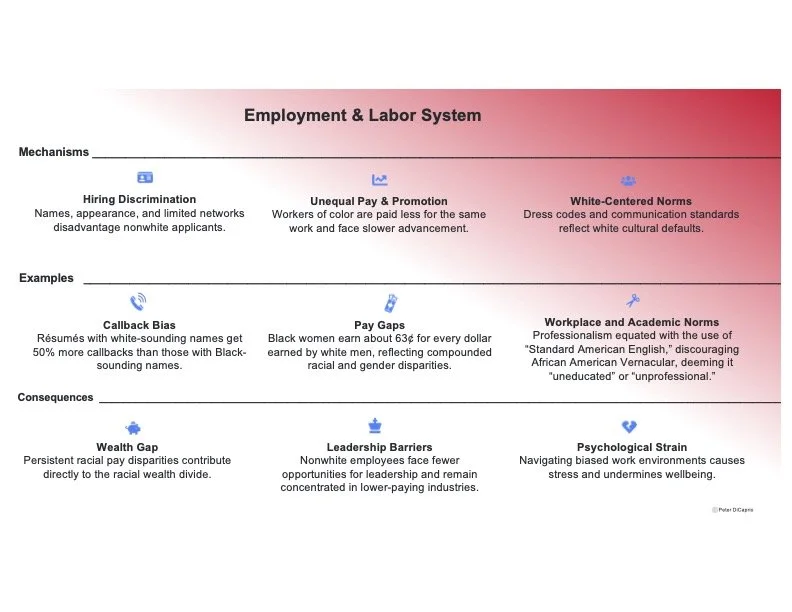 Systems in Synergy employ.jpg