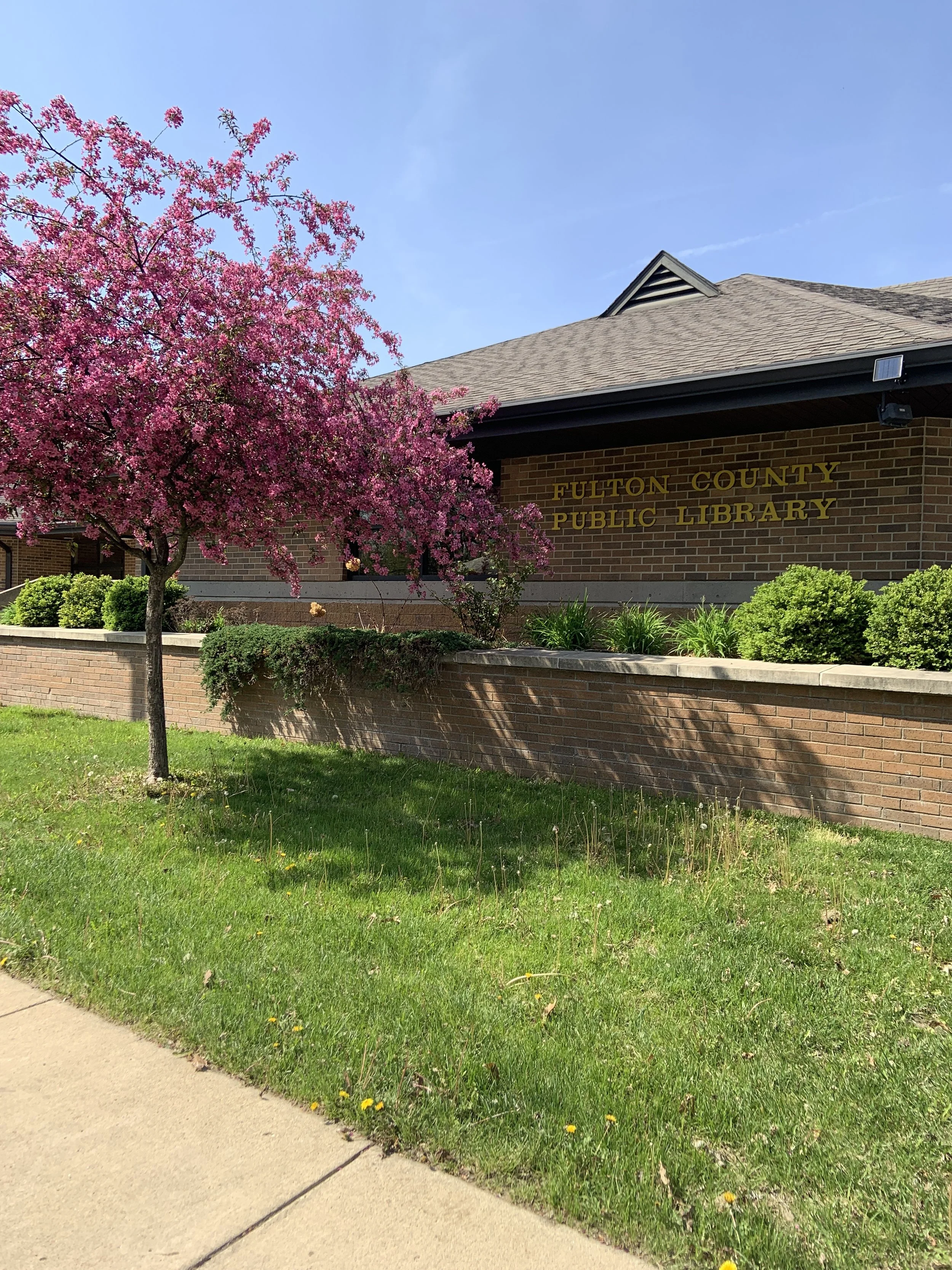 From Strategic Plan to Completed Project: Fulton County Public Library Looks Ahead&nbsp;