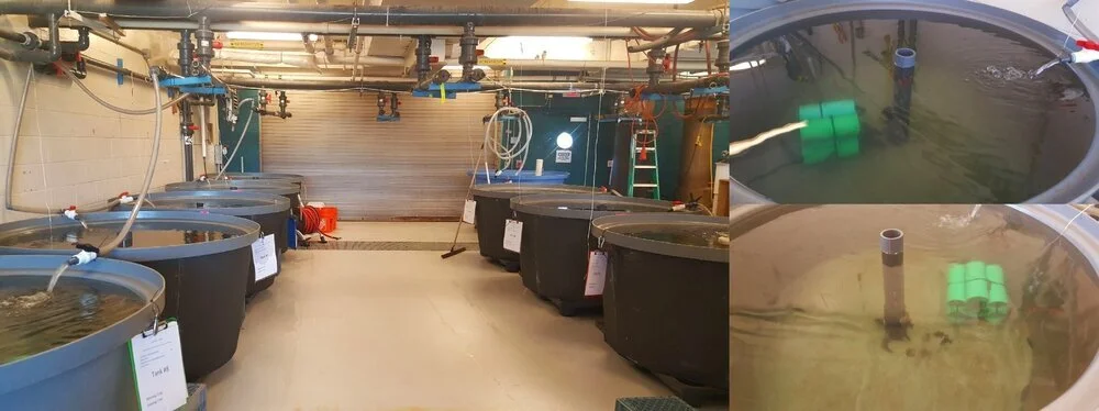 R And T Tabs Ward Aquafarms