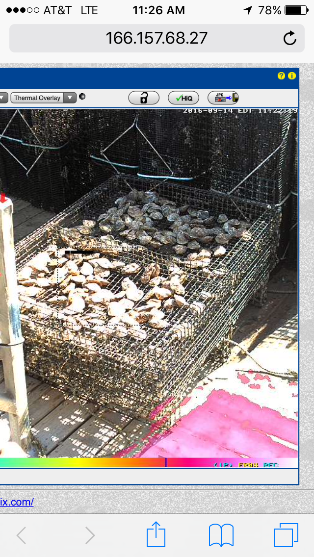 Mobotix Thermal Imagin