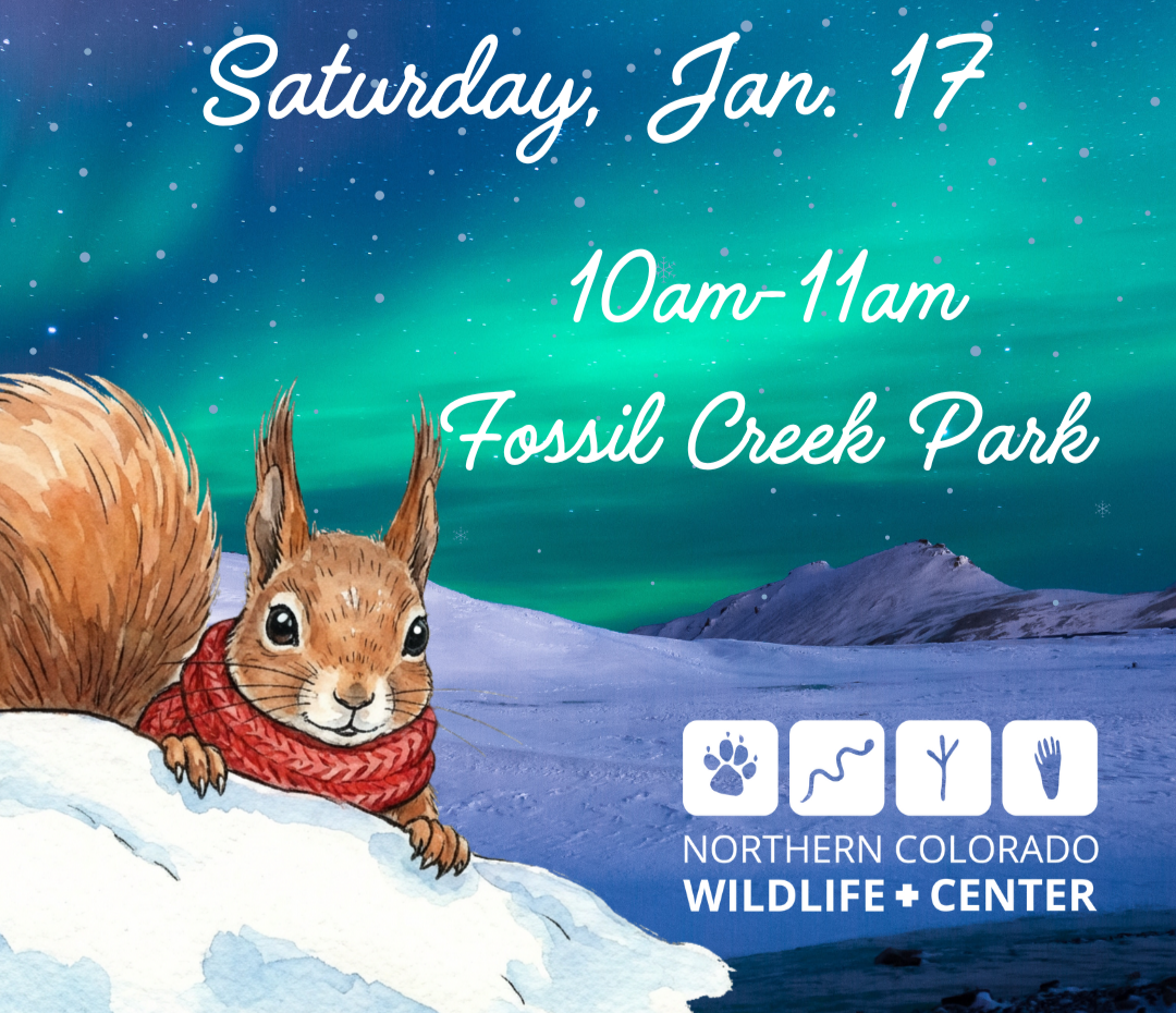 Lil' Naturalists Club