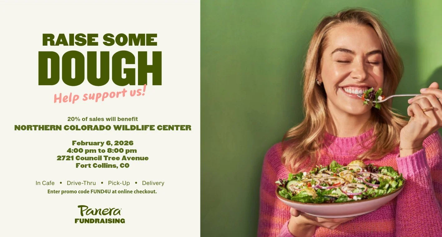 Panera Fundraiser