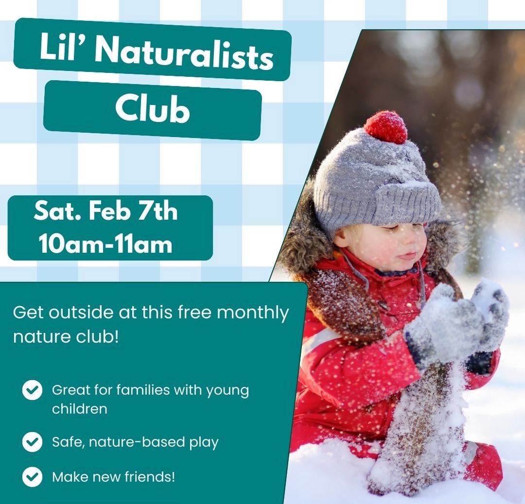 Lil' Naturalists Club