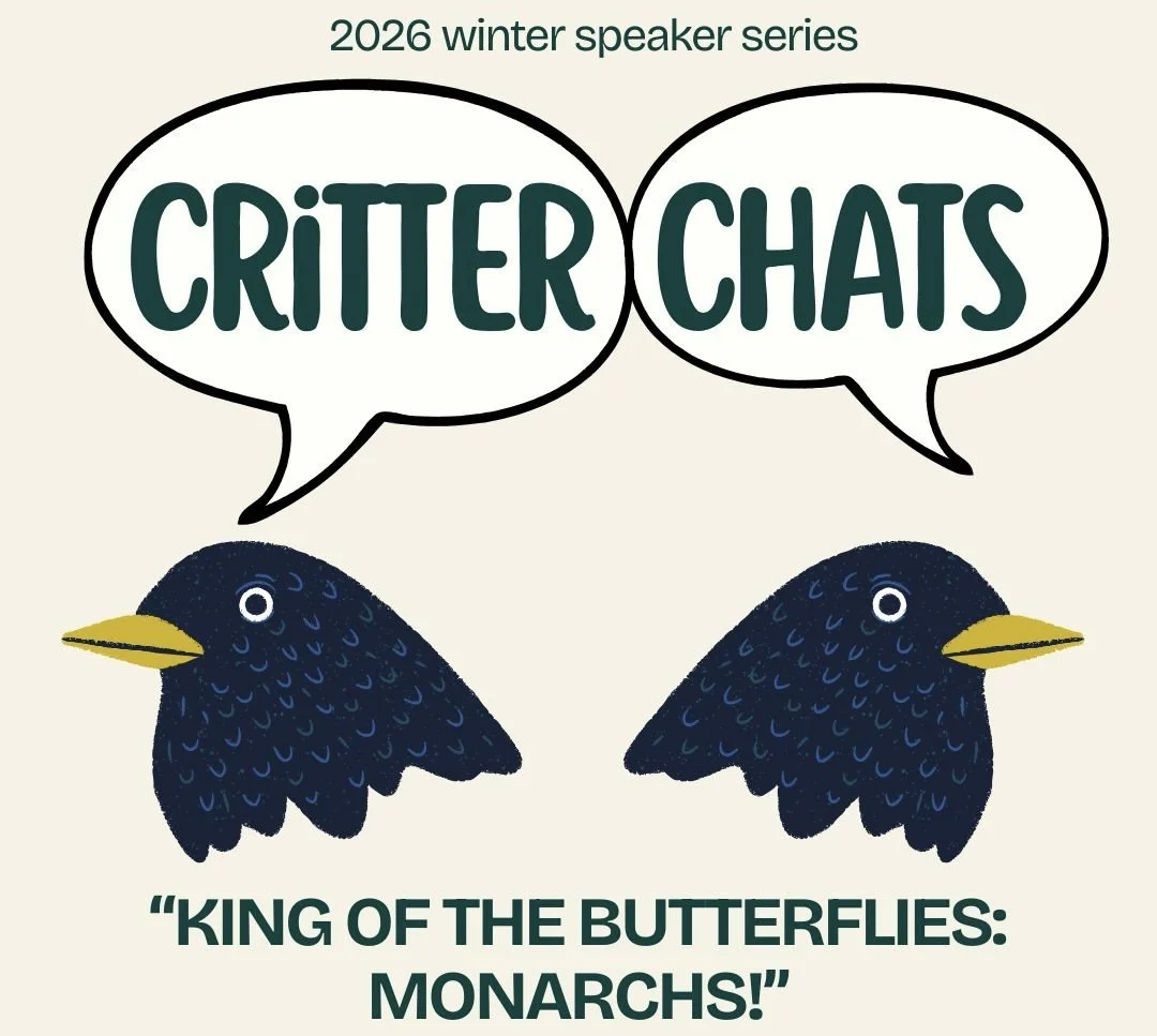 Critter Chats