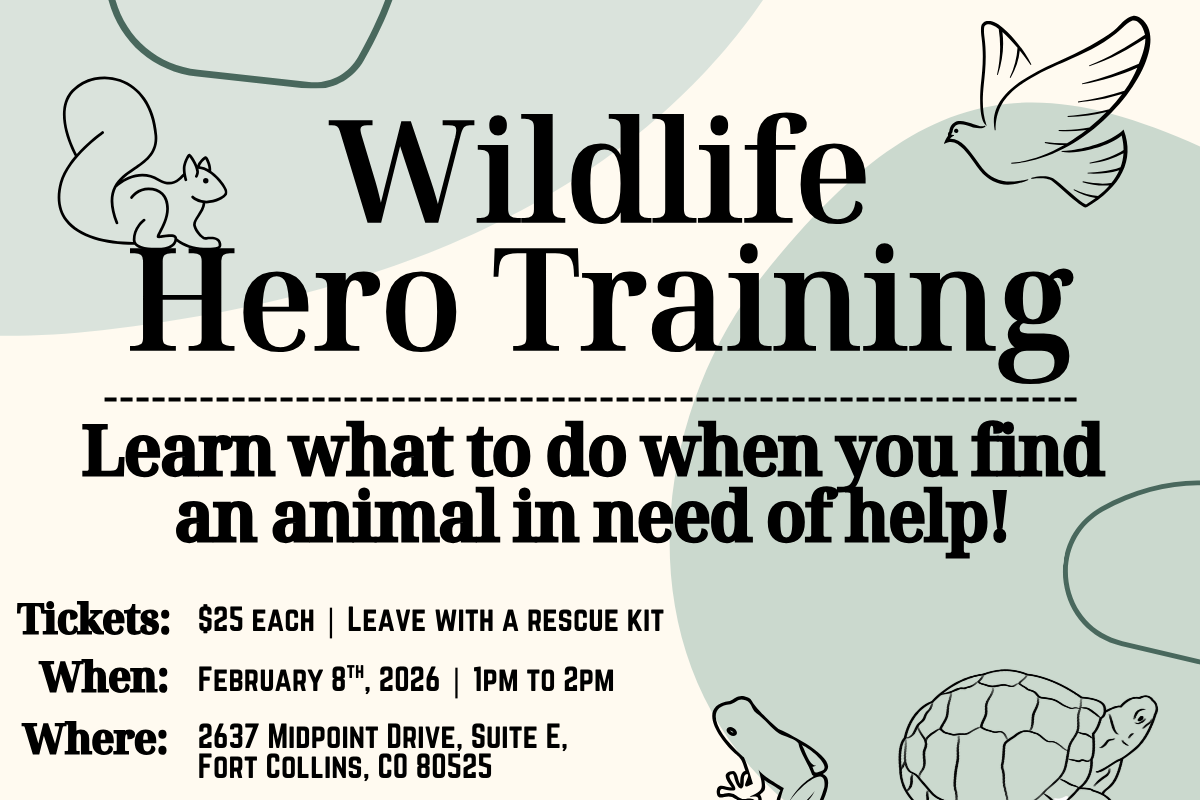 Wildlife Hero Training