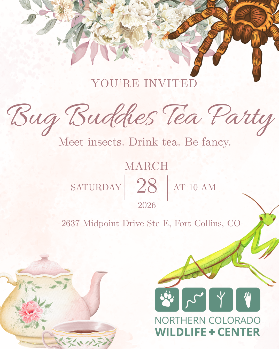 Bug Tea Party