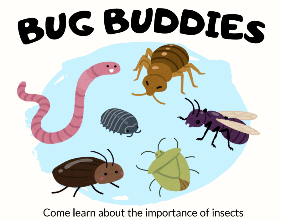 Bug Buddies