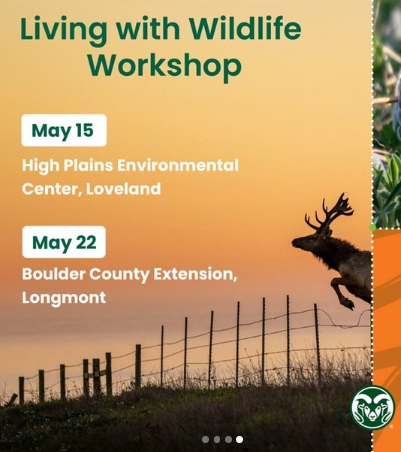 Living with Wildlife Workshop