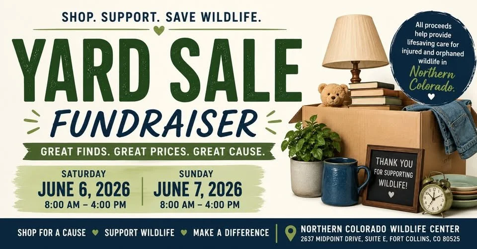 Yard Sale
