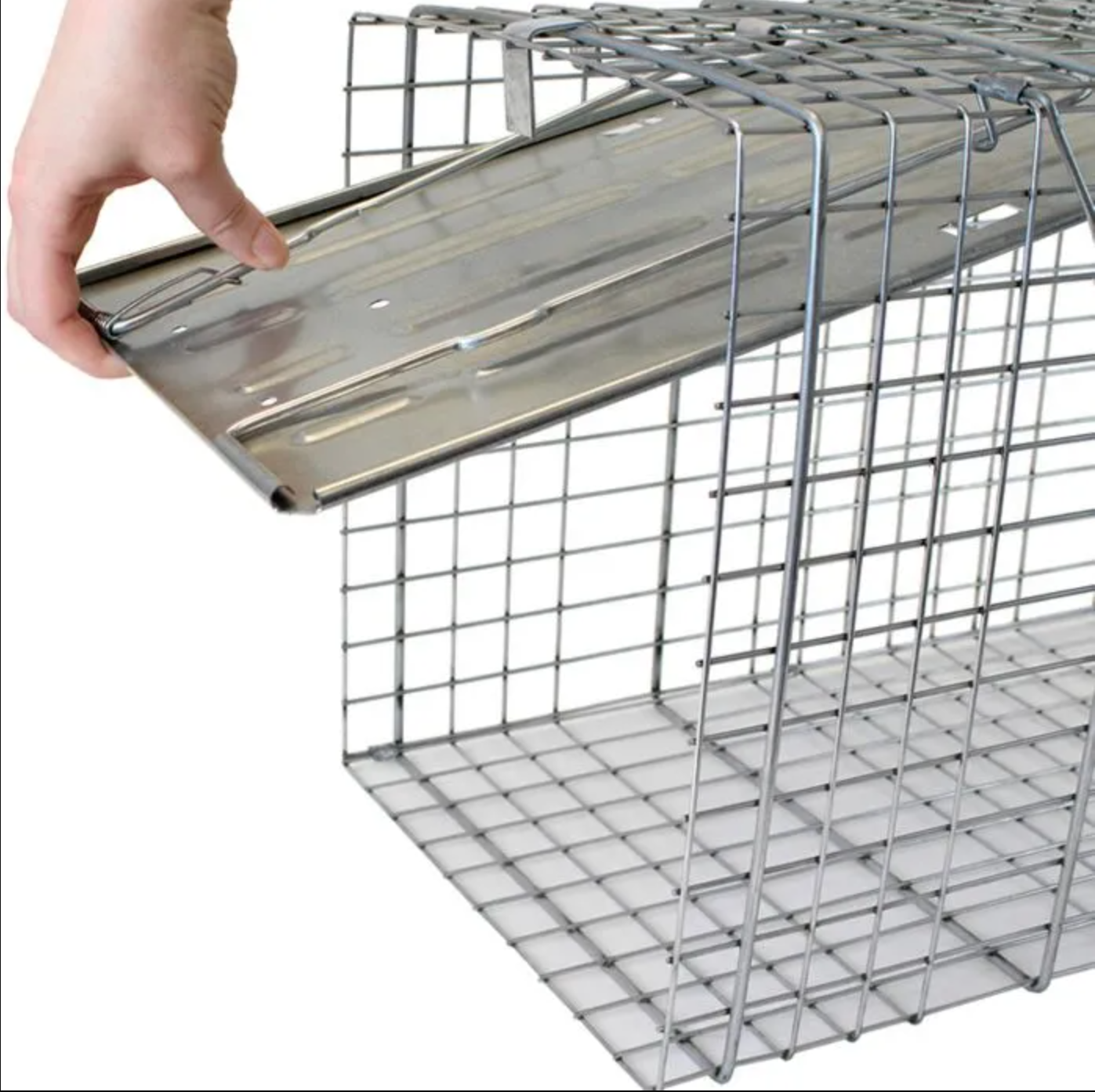 Large 1-Door Trap — Northern Colorado Wildlife Center