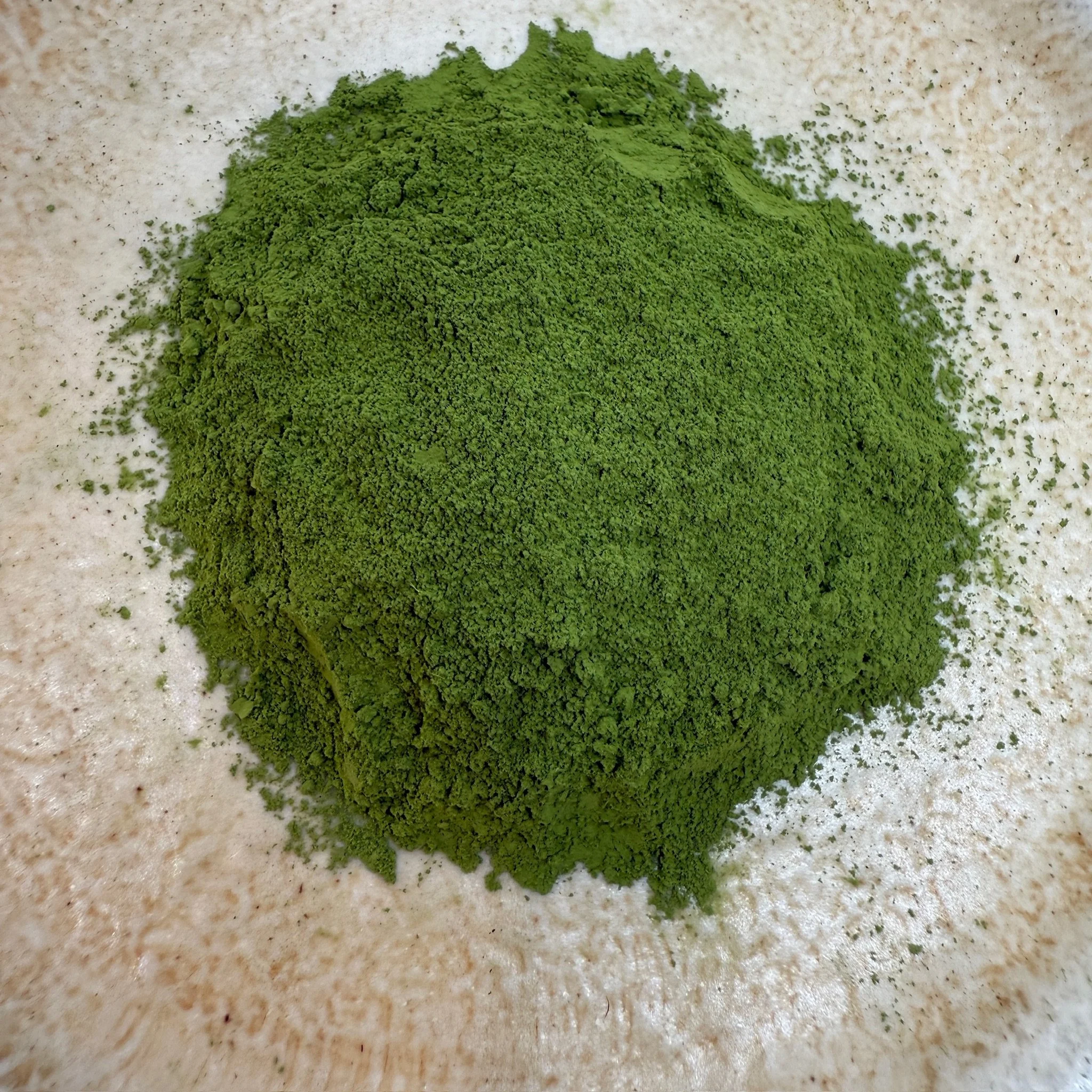 matcha_maya.jpg