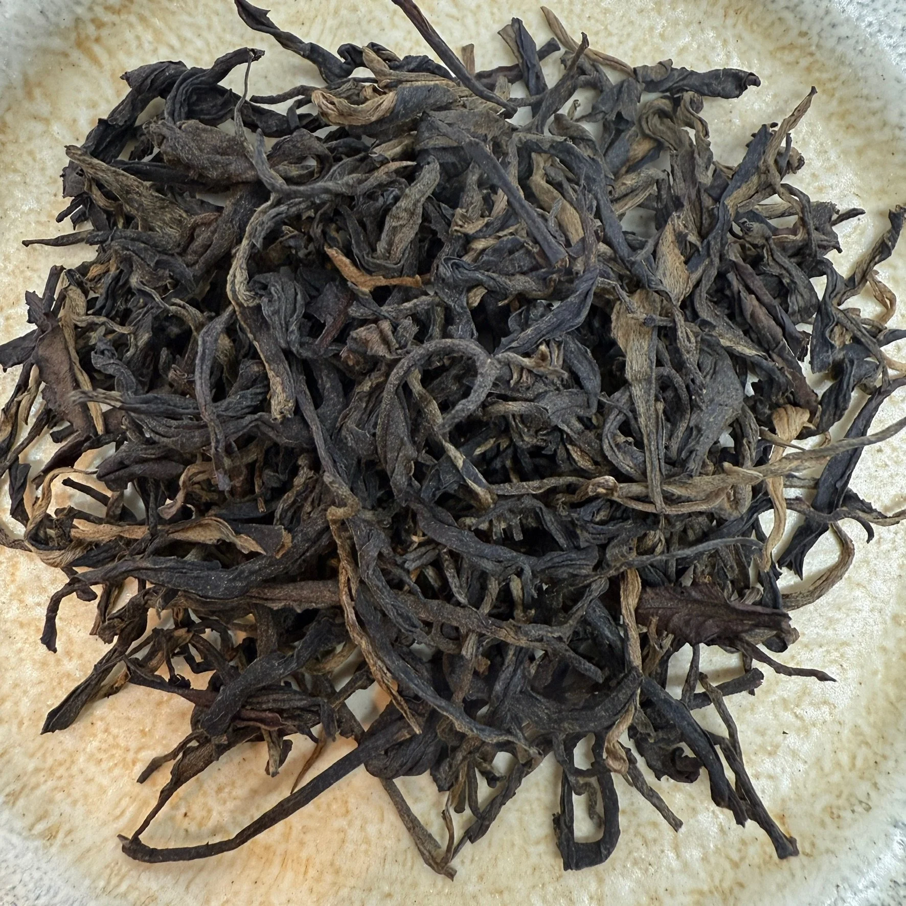 Vietnam Sung Do Rong Vang