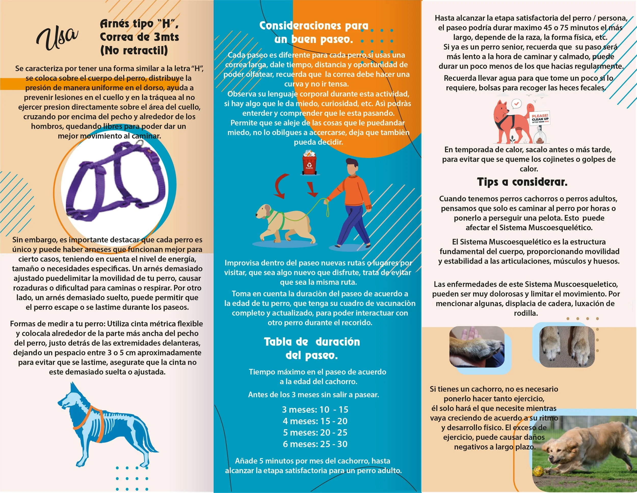 Beatriz Almaguer  atrás.jpg