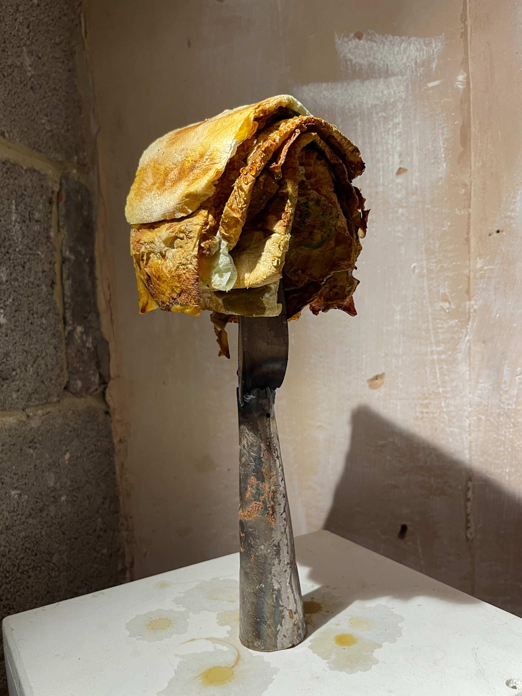 Instrument (2024) tissues with chemical reactions, forged steel