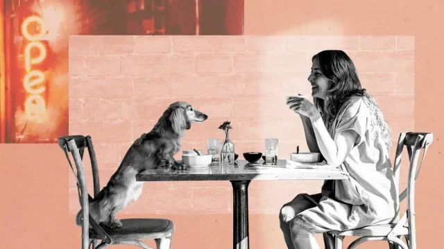 Let's face it, dogs are better behaved than most humans