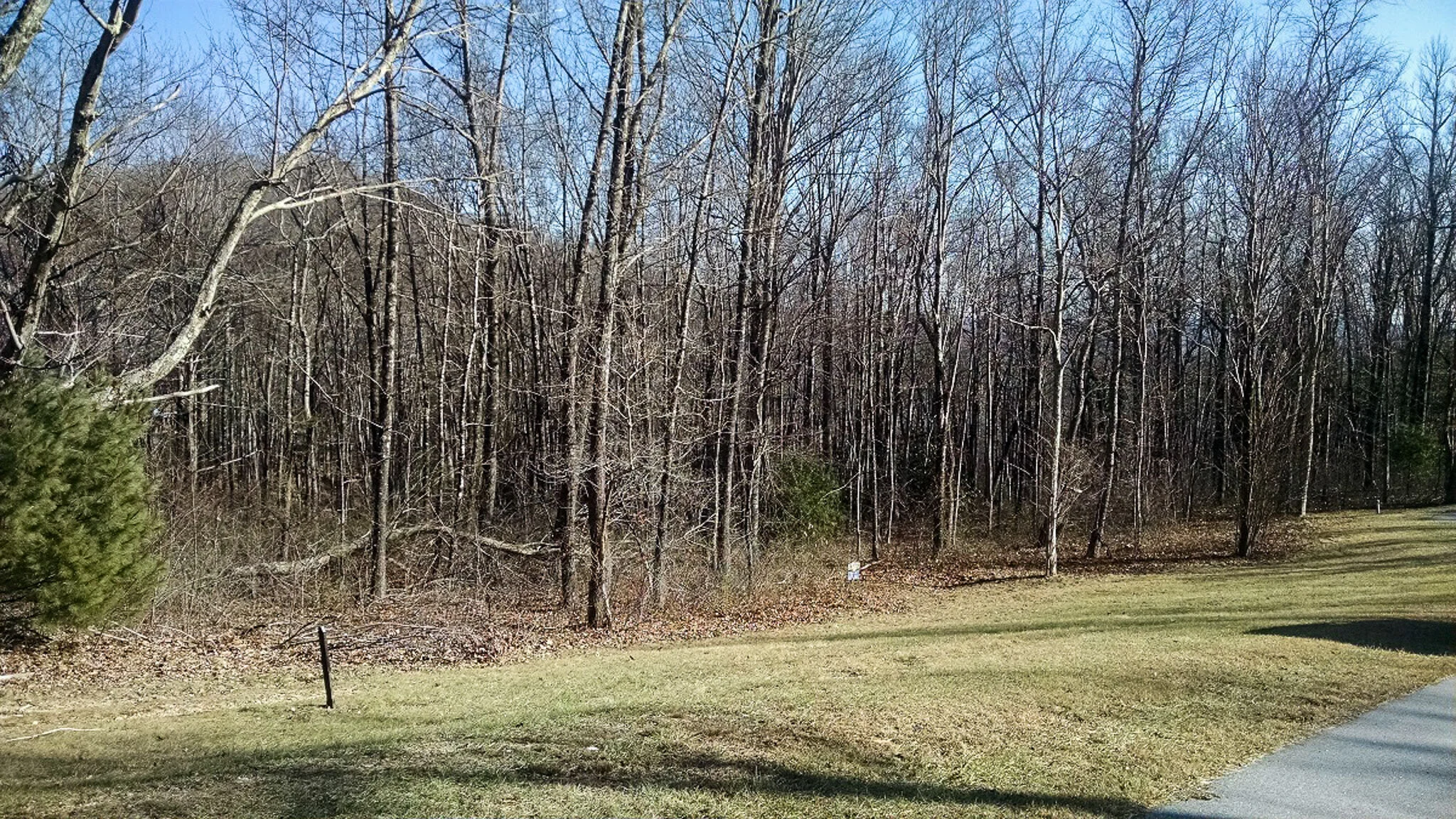 Photo-01.jpg