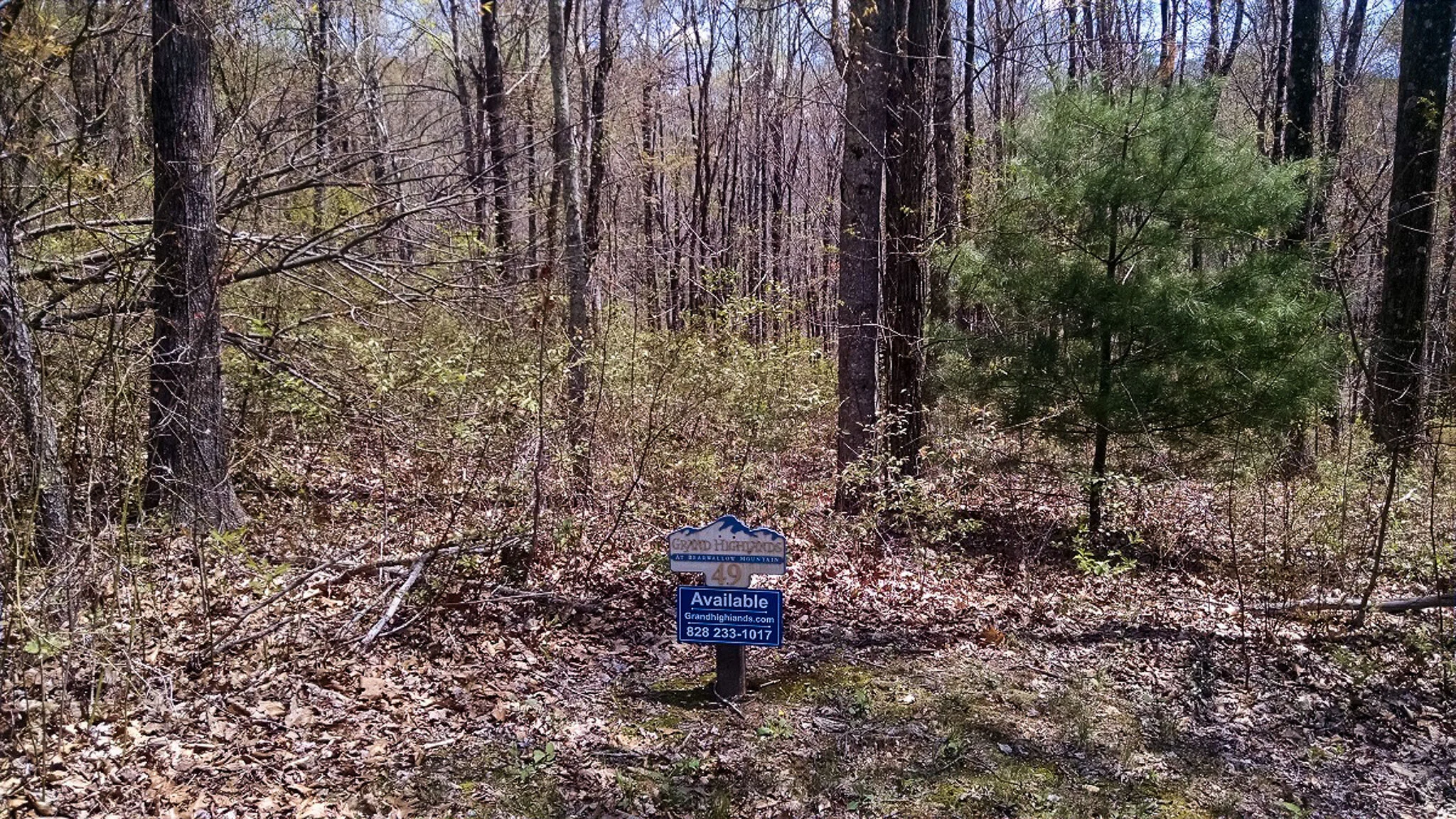 Photo-02.jpg