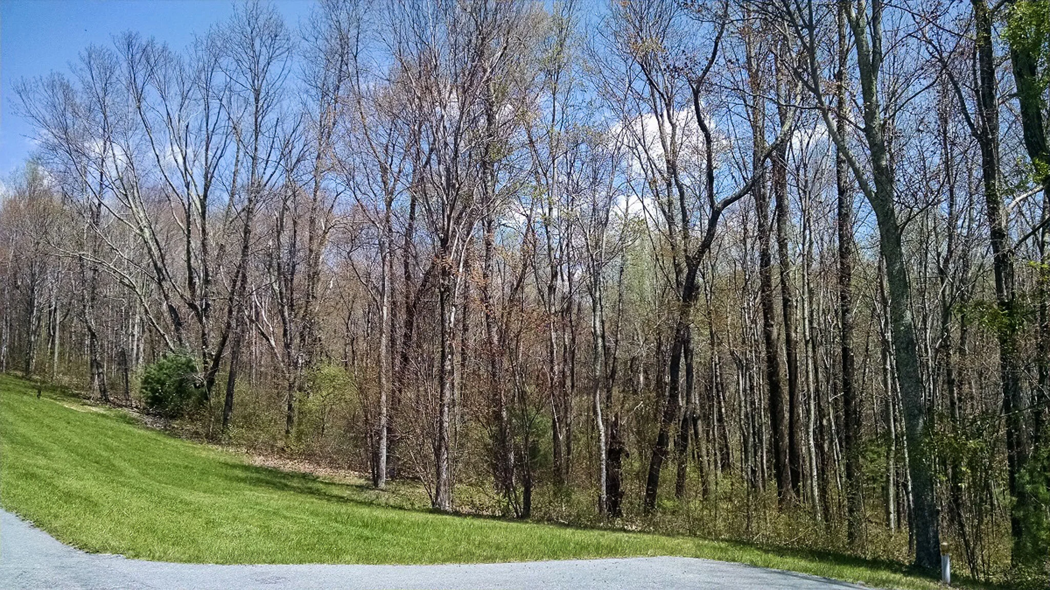 Photo-03.jpg