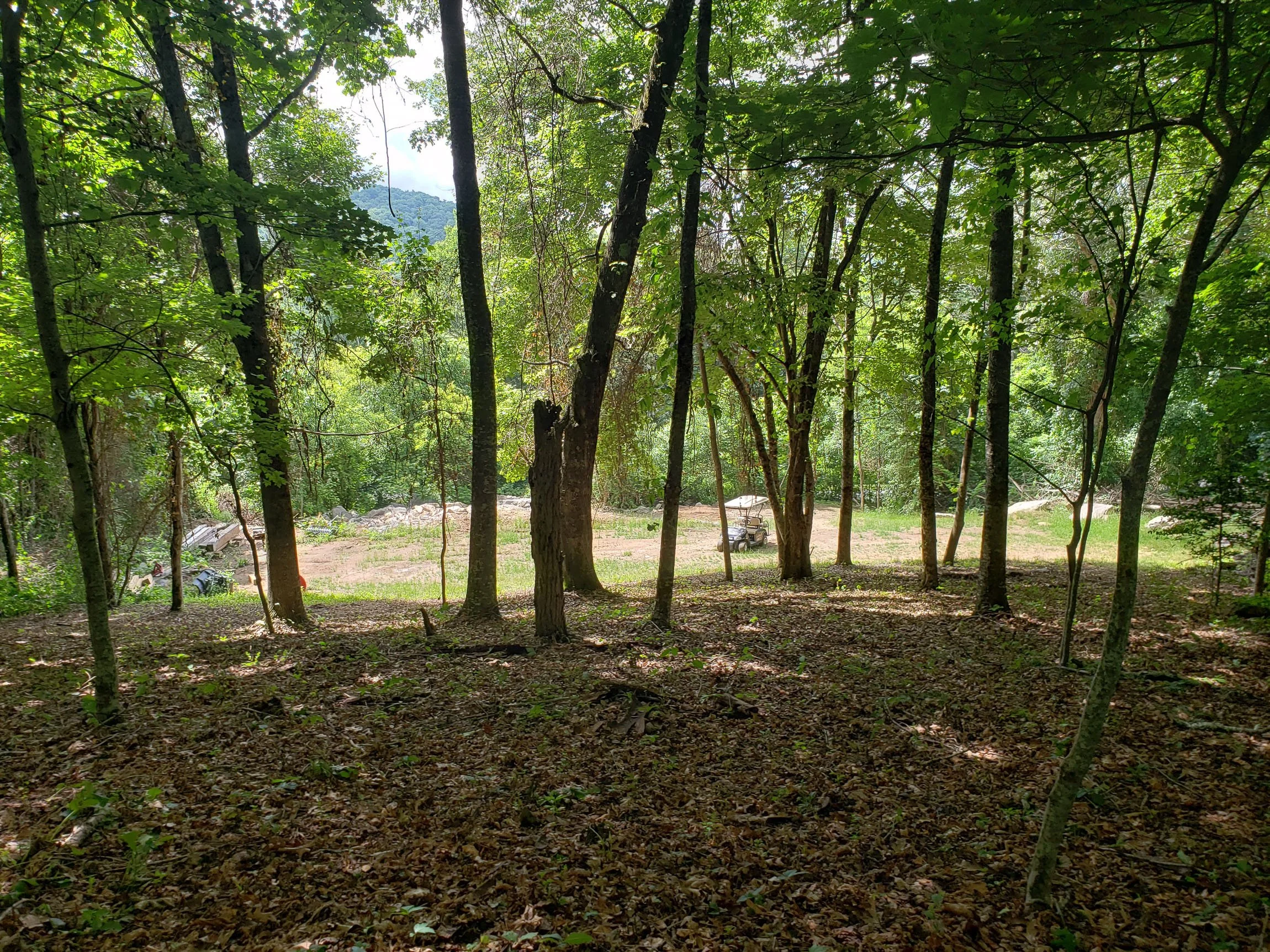 Photo-02.jpg