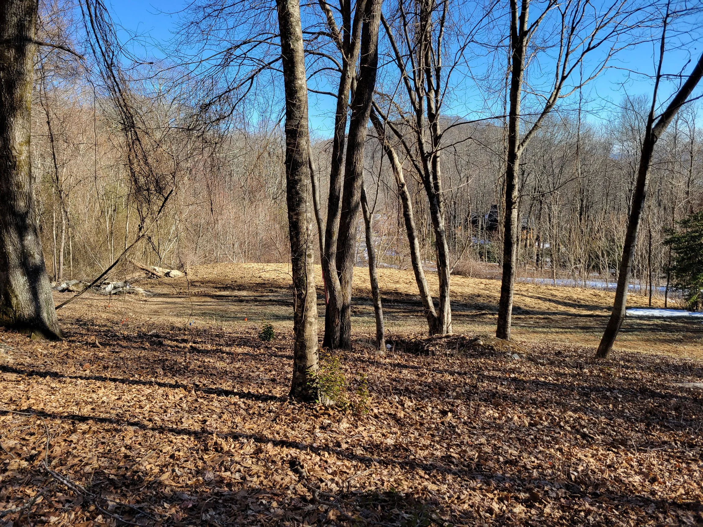 Photo-09.jpg