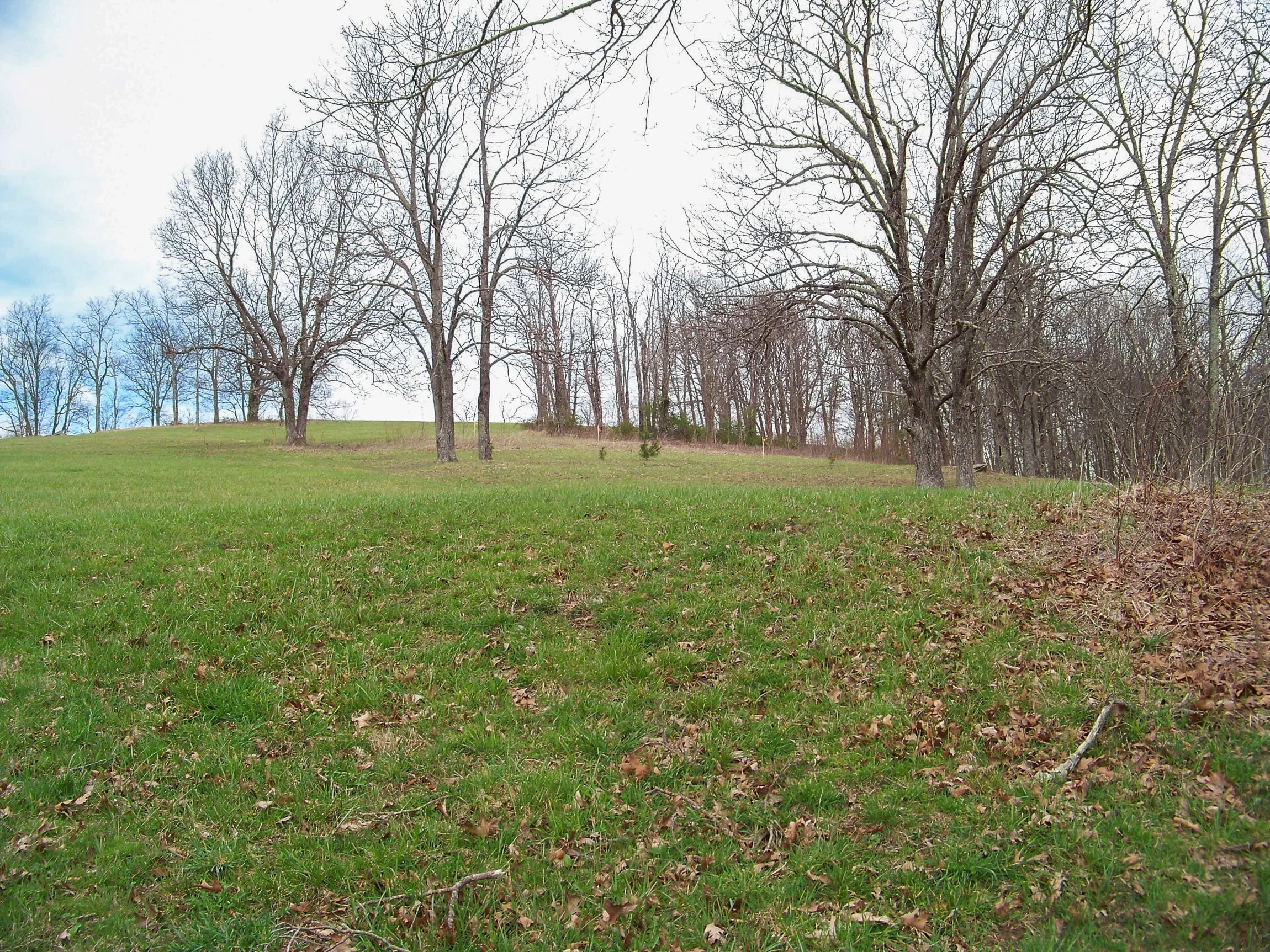 Photo-01.jpg