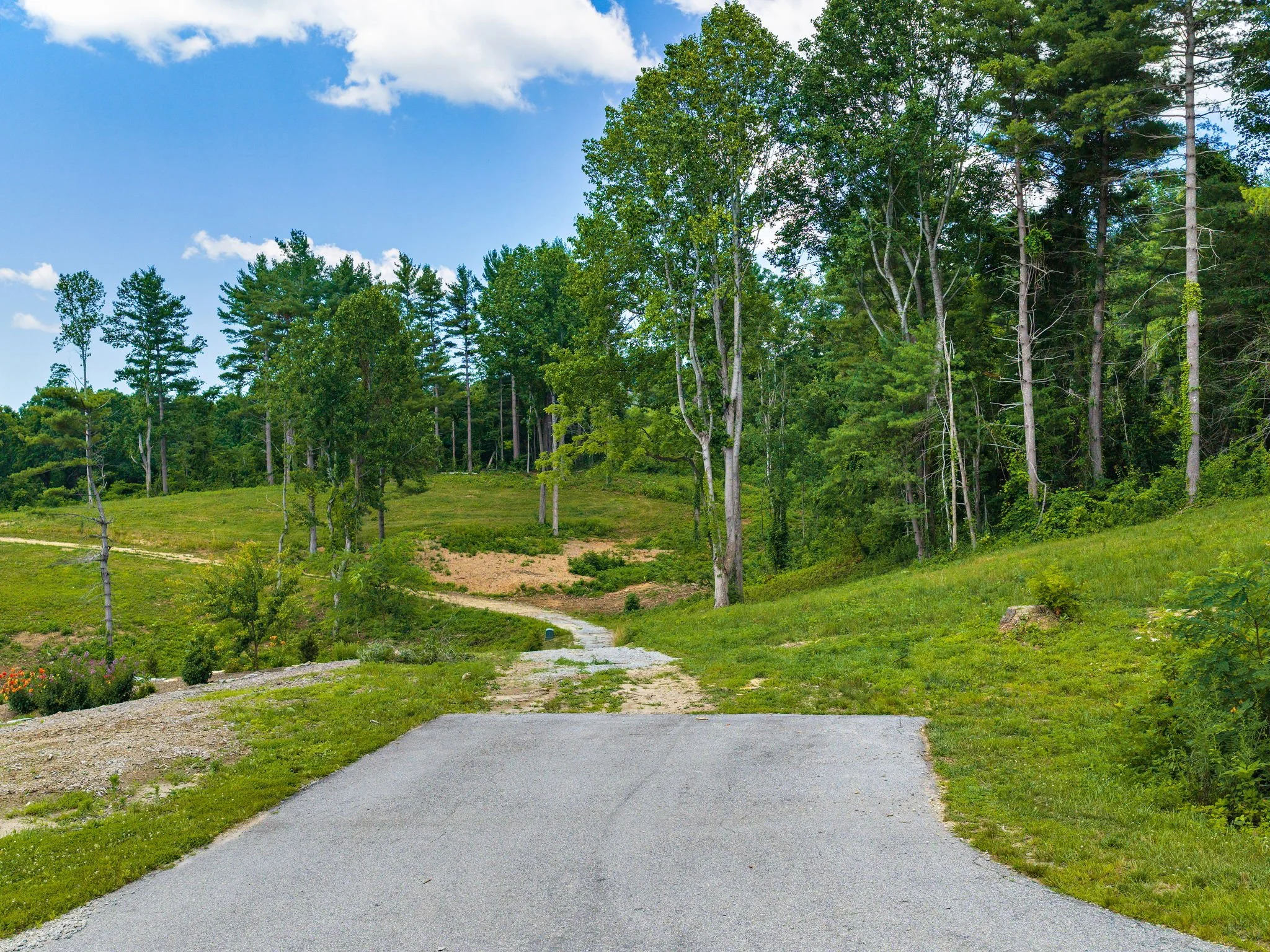 620-dancing-bear-drive-lot195-hendersonville-02.jpg