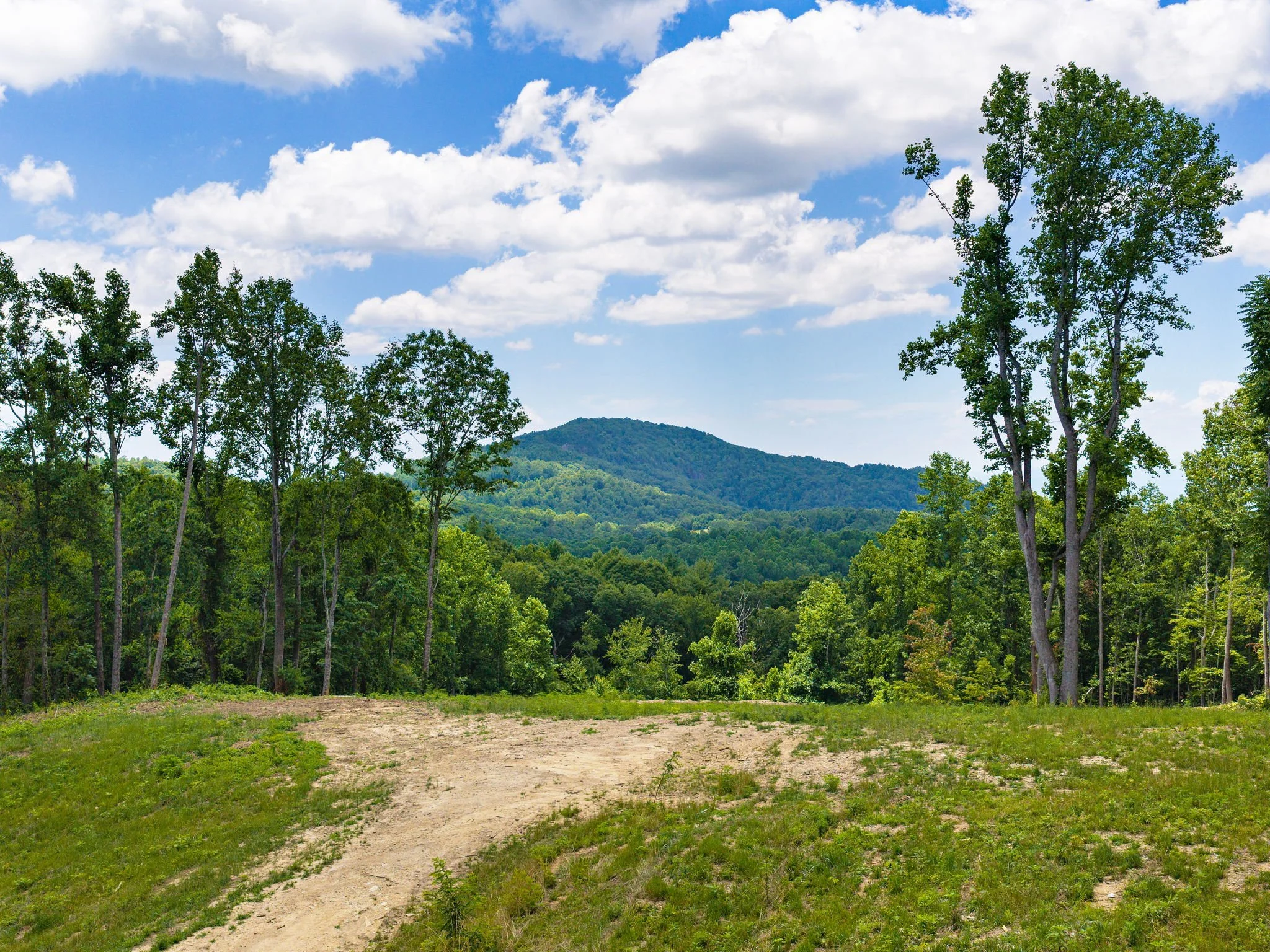 620-dancing-bear-drive-lot195-hendersonville-04.jpg